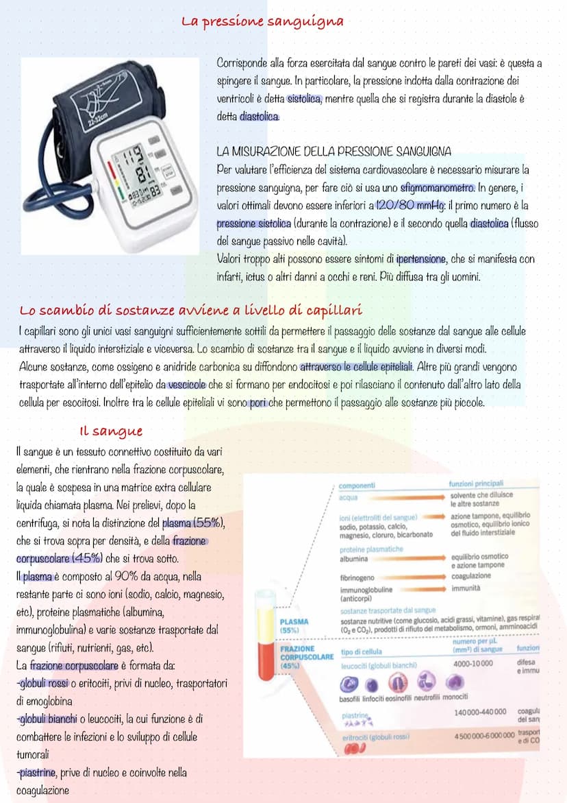 il cuore
Il cuore è l'organo cruciale del sistema cardiovascolare: pompa contemporaneamente il sangue povero di ossigeno ai polmoni e il
san