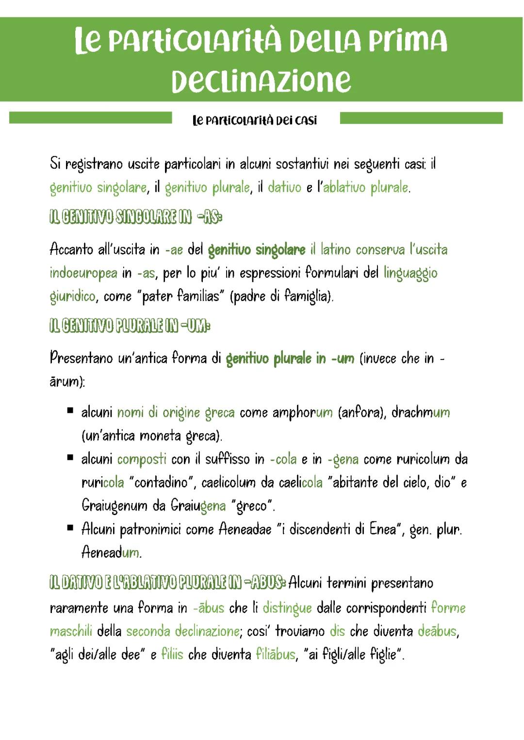 Scopri le peculiarità della prima declinazione latina: esempi e dettagli