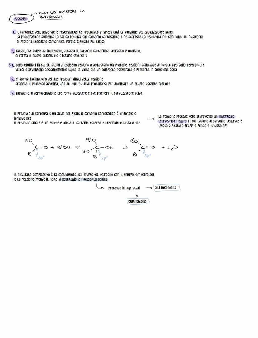 atat can TITIKK
nomenclatura
acido + desinenza -oico
CH3 CH.
Br
с
OH
acido 2-bromopropanoico
H
acidi aromatici
• acido metan-oico
• acidi so