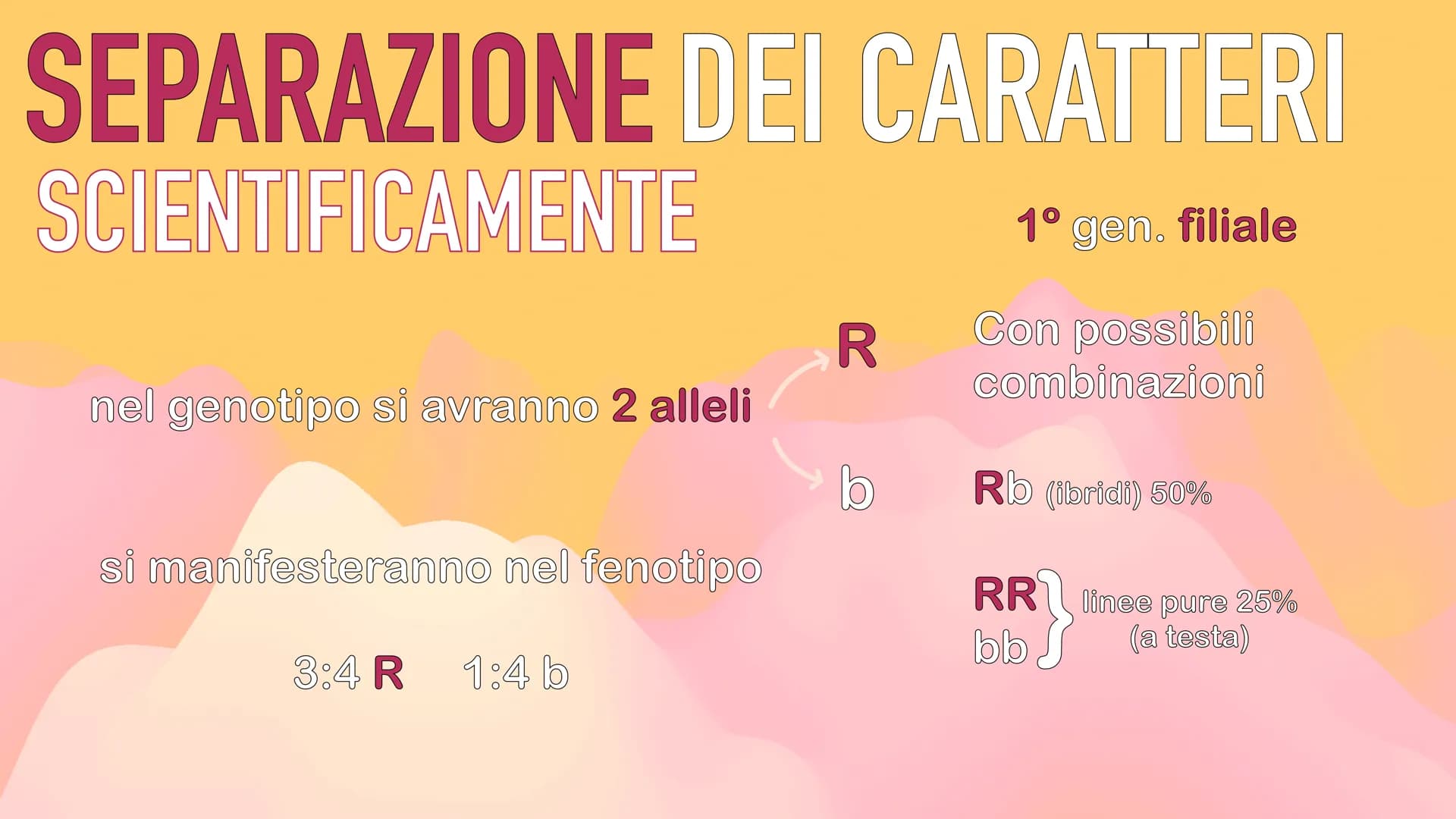 GENETICA
MENDEL MENDEL
tutte le sue scoperte
iniziano dall'osservanza
delle piante di pisello
padre della GENETICA
O
ereditarietà
presentava