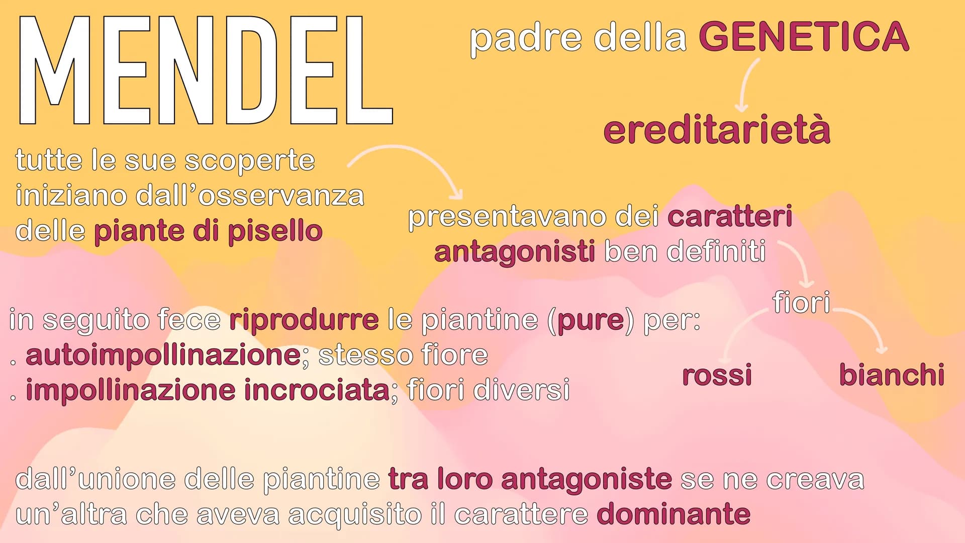 GENETICA
MENDEL MENDEL
tutte le sue scoperte
iniziano dall'osservanza
delle piante di pisello
padre della GENETICA
O
ereditarietà
presentava