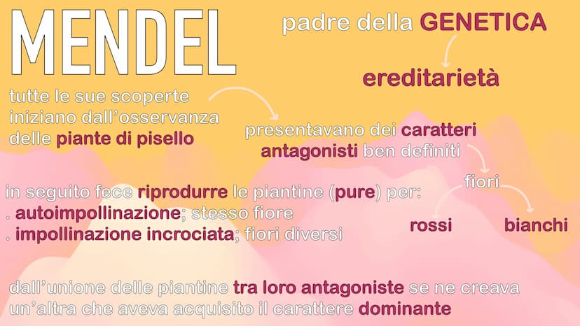 GENETICA
MENDEL MENDEL
tutte le sue scoperte
iniziano dall'osservanza
delle piante di pisello
padre della GENETICA
O
ereditarietà
presentava