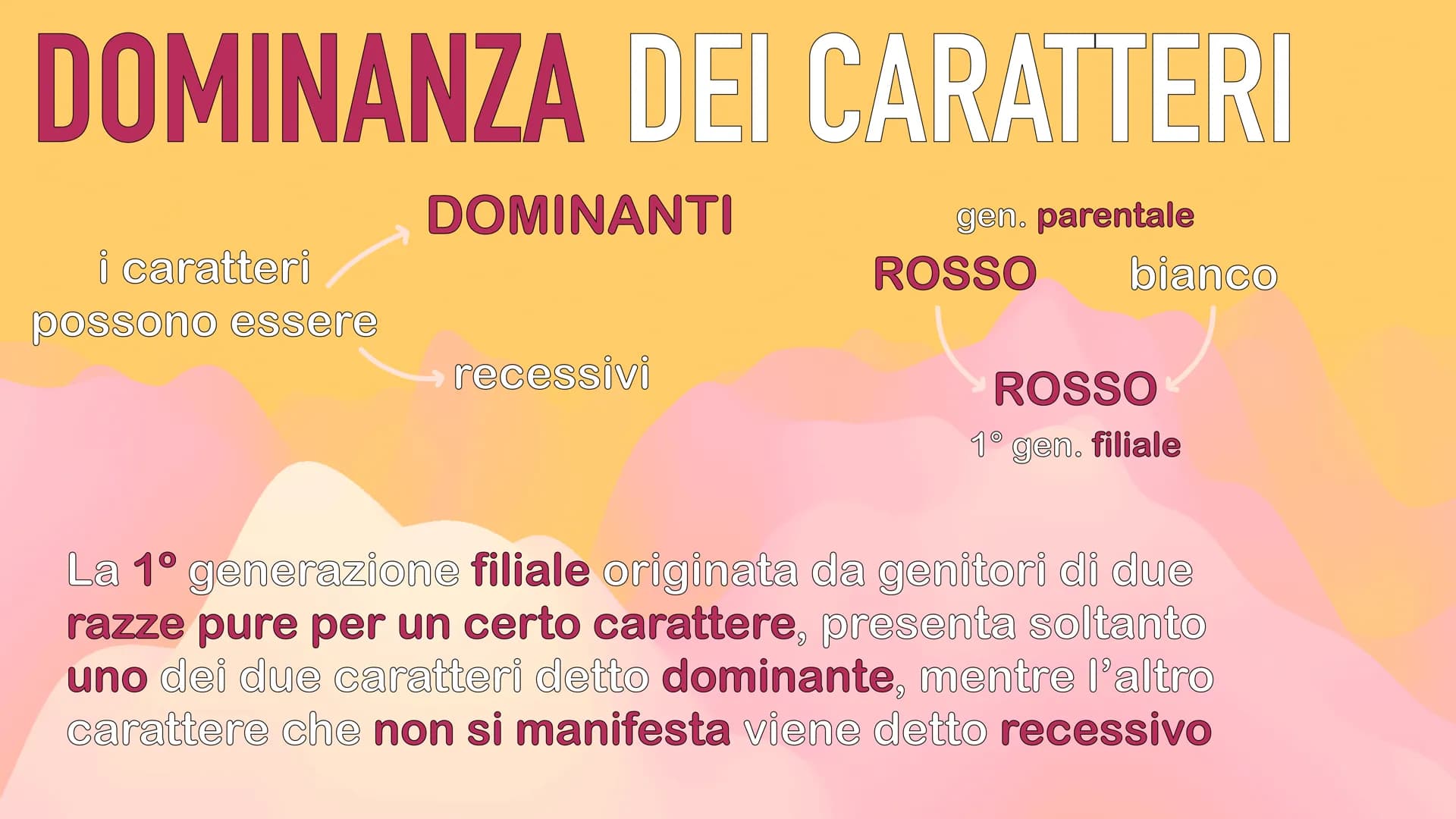 GENETICA
MENDEL MENDEL
tutte le sue scoperte
iniziano dall'osservanza
delle piante di pisello
padre della GENETICA
O
ereditarietà
presentava