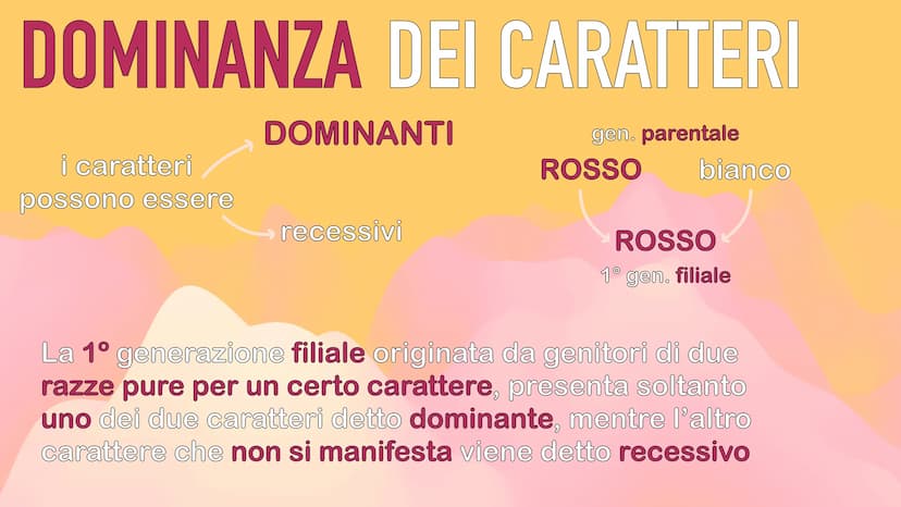 GENETICA
MENDEL MENDEL
tutte le sue scoperte
iniziano dall'osservanza
delle piante di pisello
padre della GENETICA
O
ereditarietà
presentava