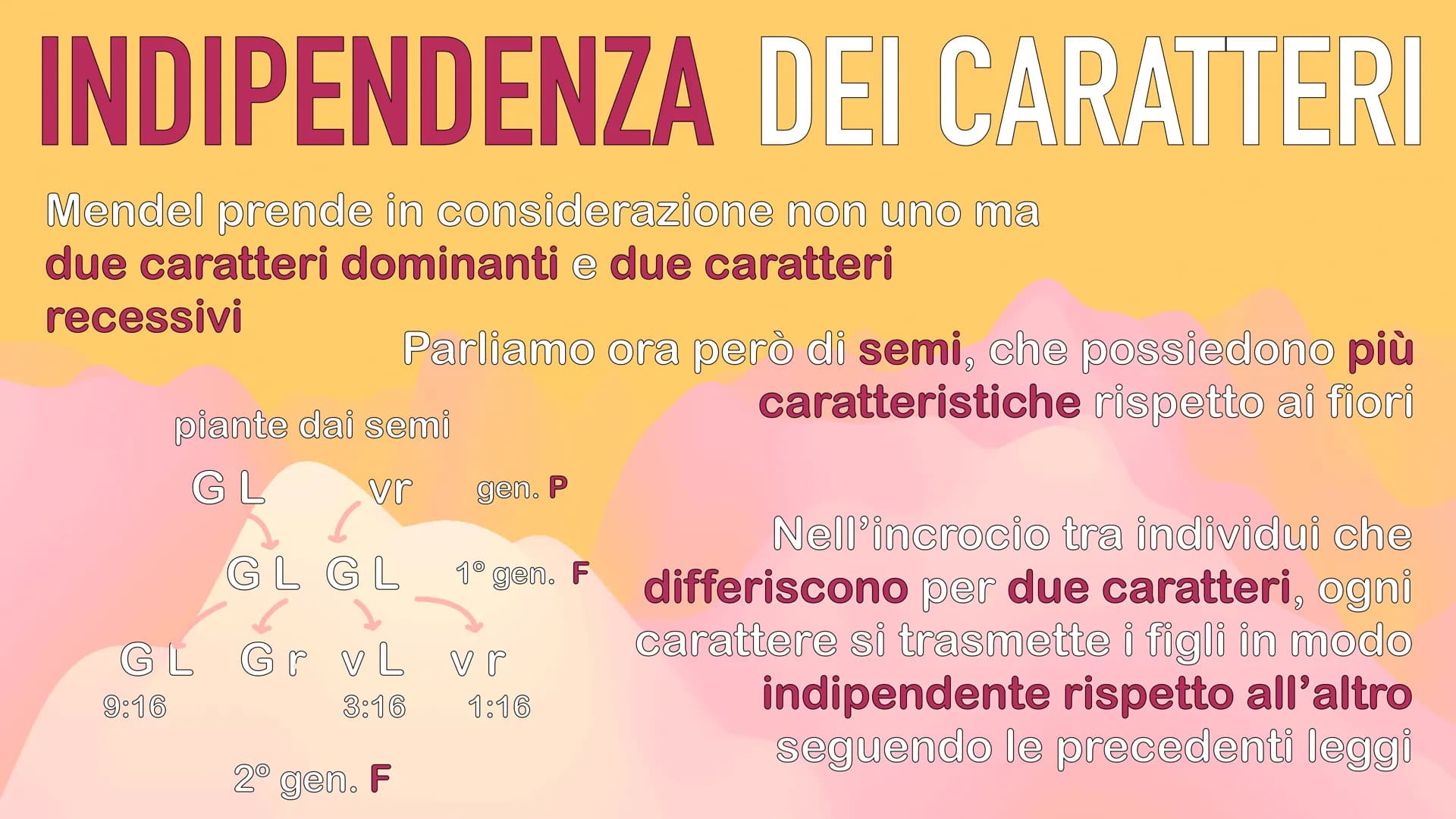 GENETICA
MENDEL MENDEL
tutte le sue scoperte
iniziano dall'osservanza
delle piante di pisello
padre della GENETICA
O
ereditarietà
presentava