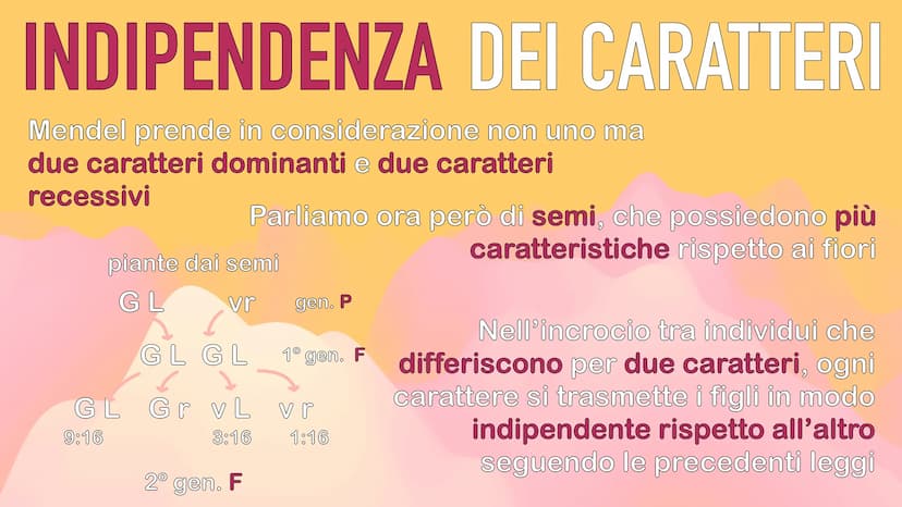 GENETICA
MENDEL MENDEL
tutte le sue scoperte
iniziano dall'osservanza
delle piante di pisello
padre della GENETICA
O
ereditarietà
presentava