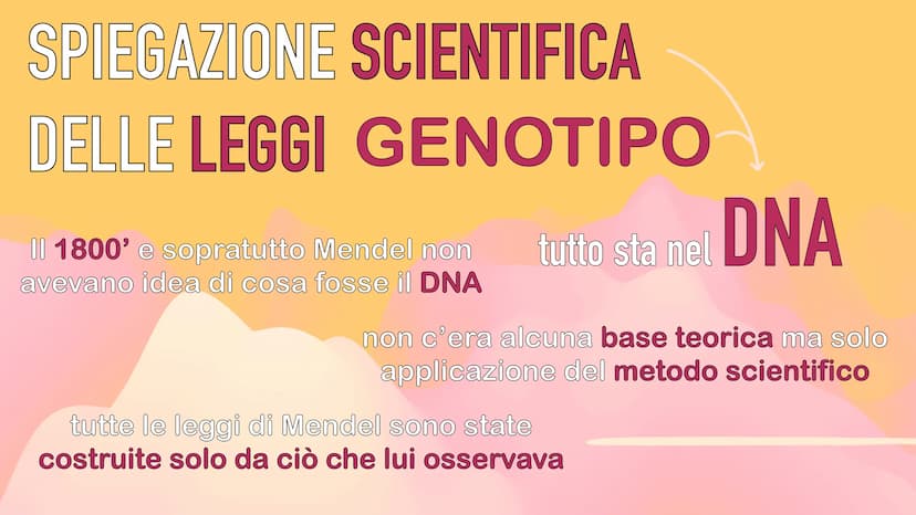 GENETICA
MENDEL MENDEL
tutte le sue scoperte
iniziano dall'osservanza
delle piante di pisello
padre della GENETICA
O
ereditarietà
presentava
