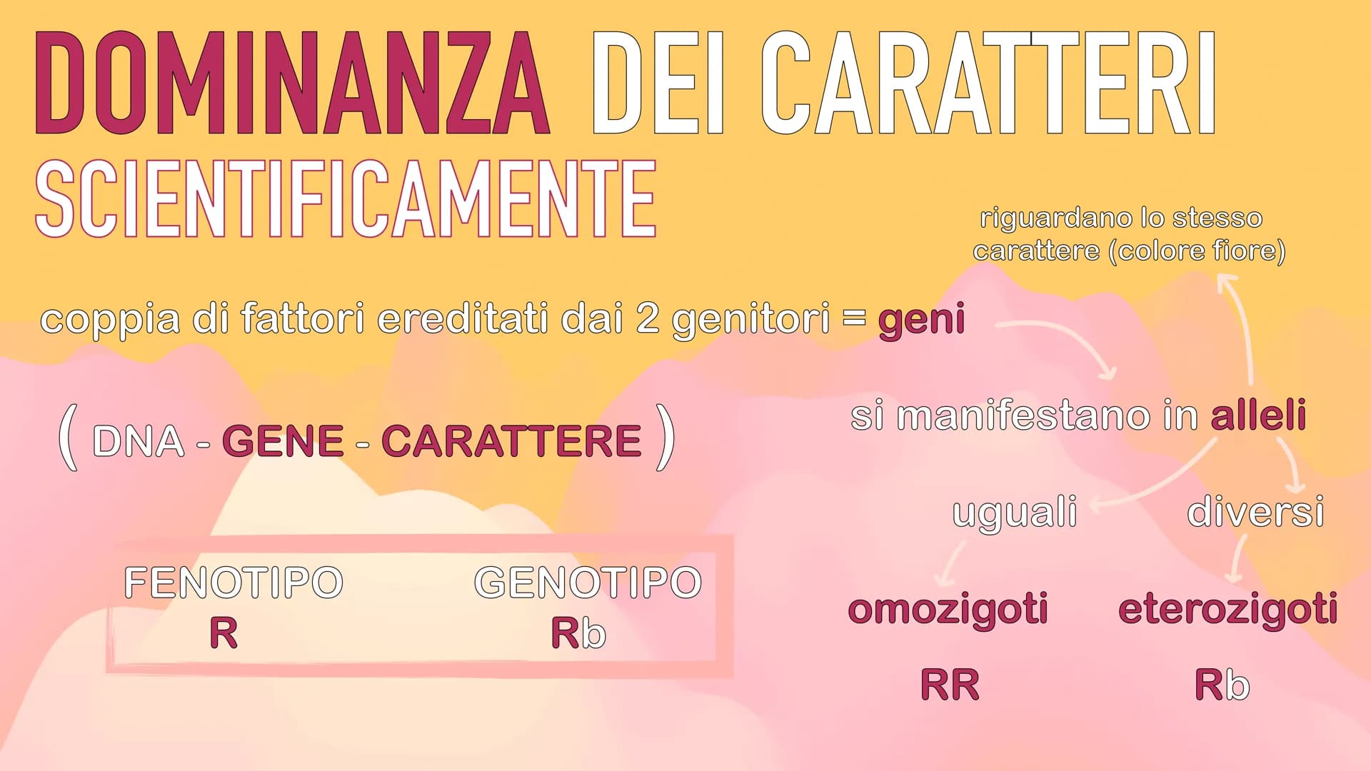 GENETICA
MENDEL MENDEL
tutte le sue scoperte
iniziano dall'osservanza
delle piante di pisello
padre della GENETICA
O
ereditarietà
presentava