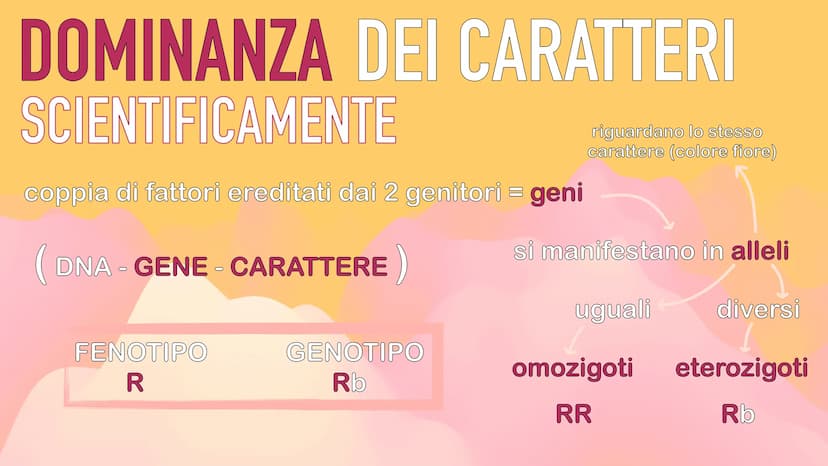 GENETICA
MENDEL MENDEL
tutte le sue scoperte
iniziano dall'osservanza
delle piante di pisello
padre della GENETICA
O
ereditarietà
presentava