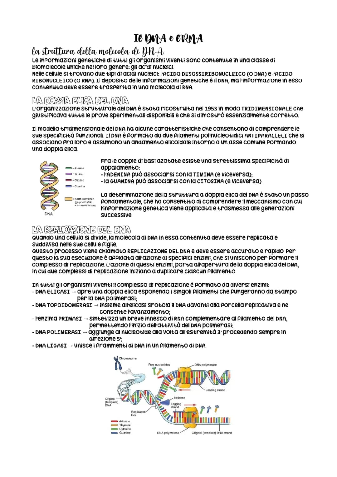 DNA e RNA