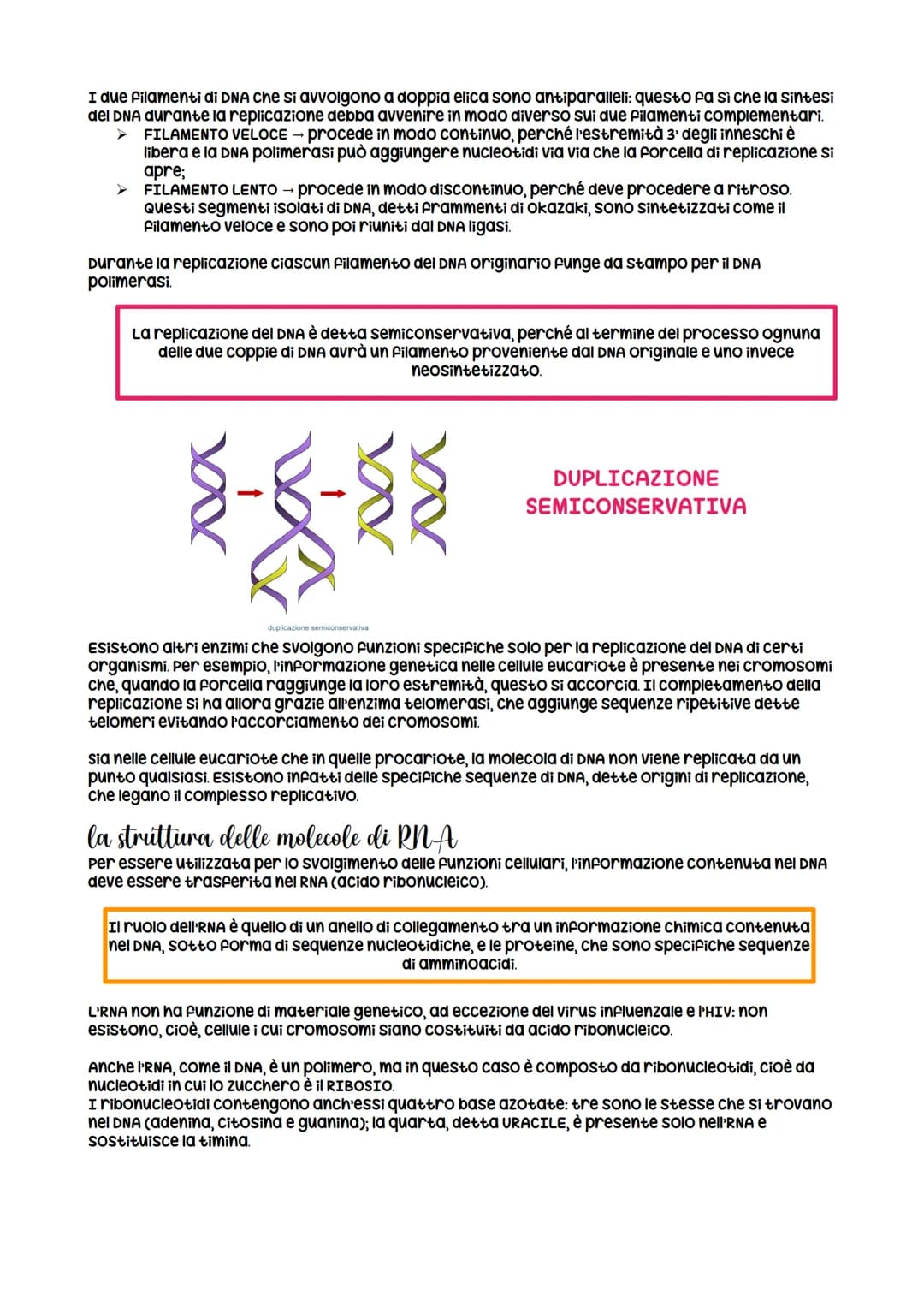 la struttura della molecola di DNA
Le informazioni genetiche di tutti gli organismi viventi sono contenute in una classe di
biomolecole unic