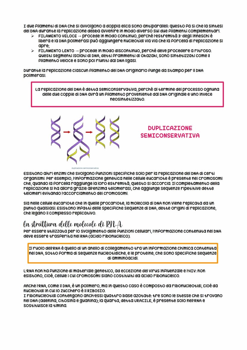 la struttura della molecola di DNA
Le informazioni genetiche di tutti gli organismi viventi sono contenute in una classe di
biomolecole unic