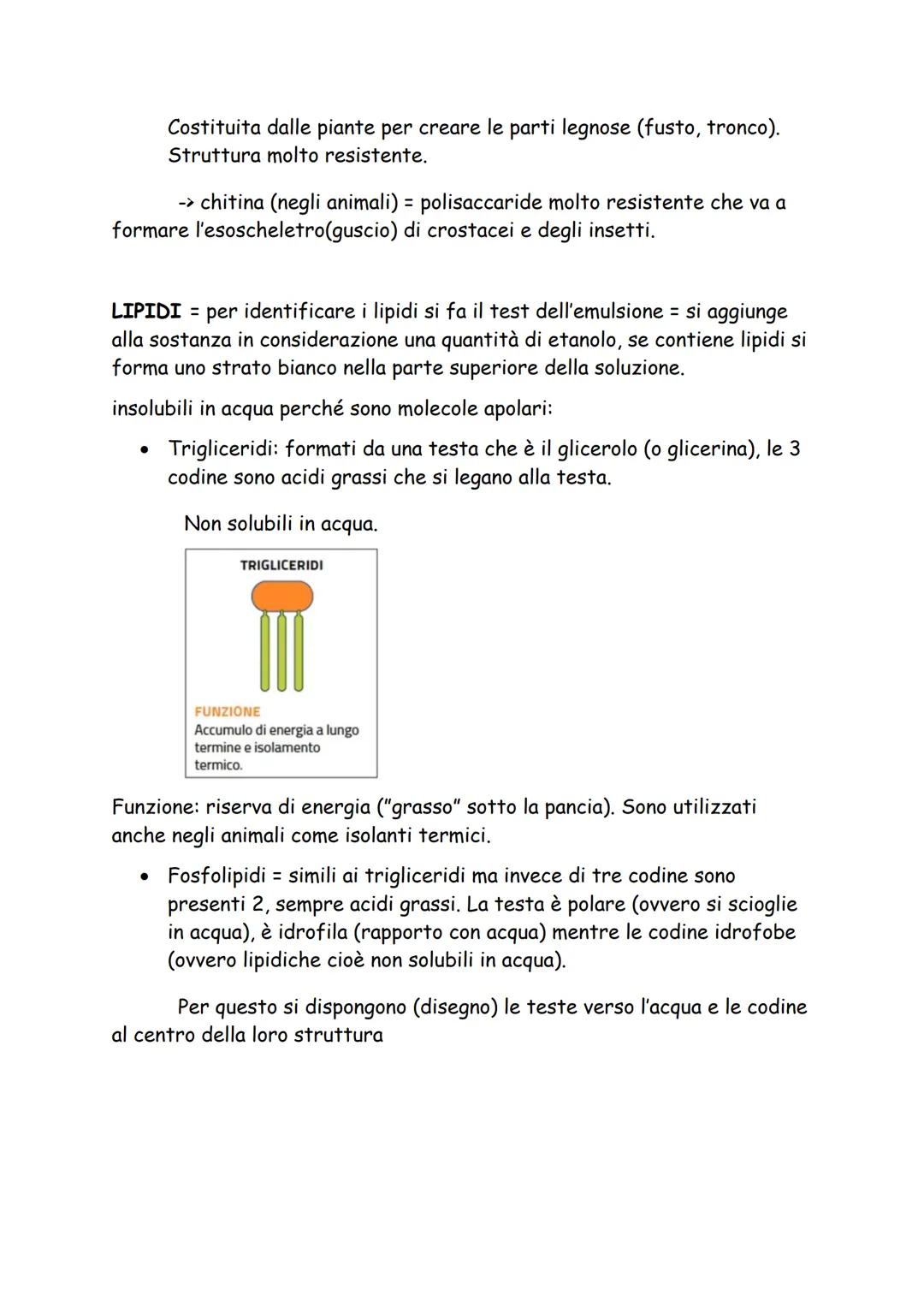 # BIOMOLECOLE

POLIMERI E MONOMERI

Biomolecole sono dei polimeri, ovvero formati da più monomeri (subunità).

I polimeri si formano dall'un