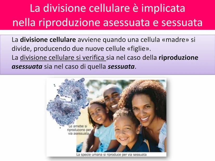 LA DIVISIONE
CELLULARE - Una delle proprietà delle cellule e degli organismi è la
capacità di riprodursi autonomamente.
—
Il processo grazie