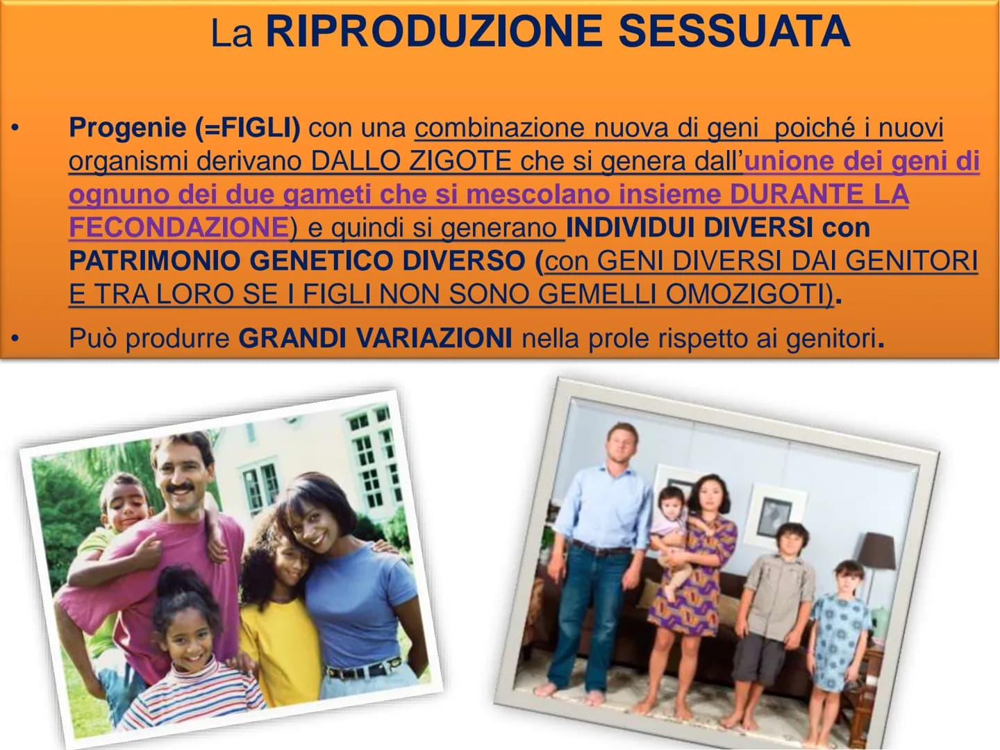 LA DIVISIONE
CELLULARE - Una delle proprietà delle cellule e degli organismi è la
capacità di riprodursi autonomamente.
—
Il processo grazie