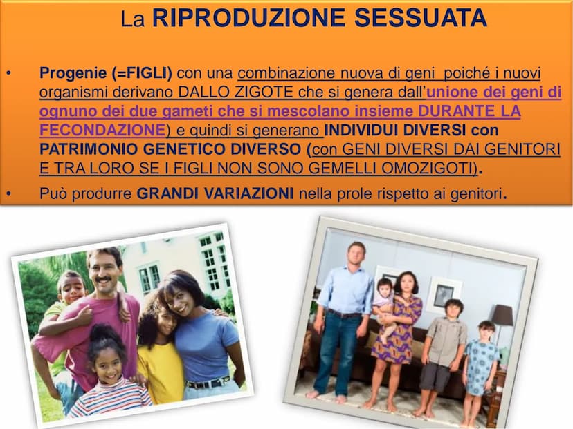 LA DIVISIONE
CELLULARE - Una delle proprietà delle cellule e degli organismi è la
capacità di riprodursi autonomamente.
—
Il processo grazie