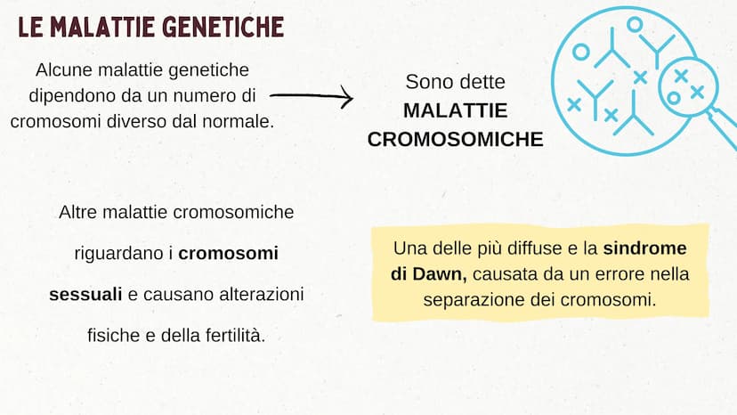 IL DNA COSA È IL DNA
In tutti gli esseri viventi le istruzioni che definiscono il
corpo di un individuo si trovano nel nucleo delle cellule
