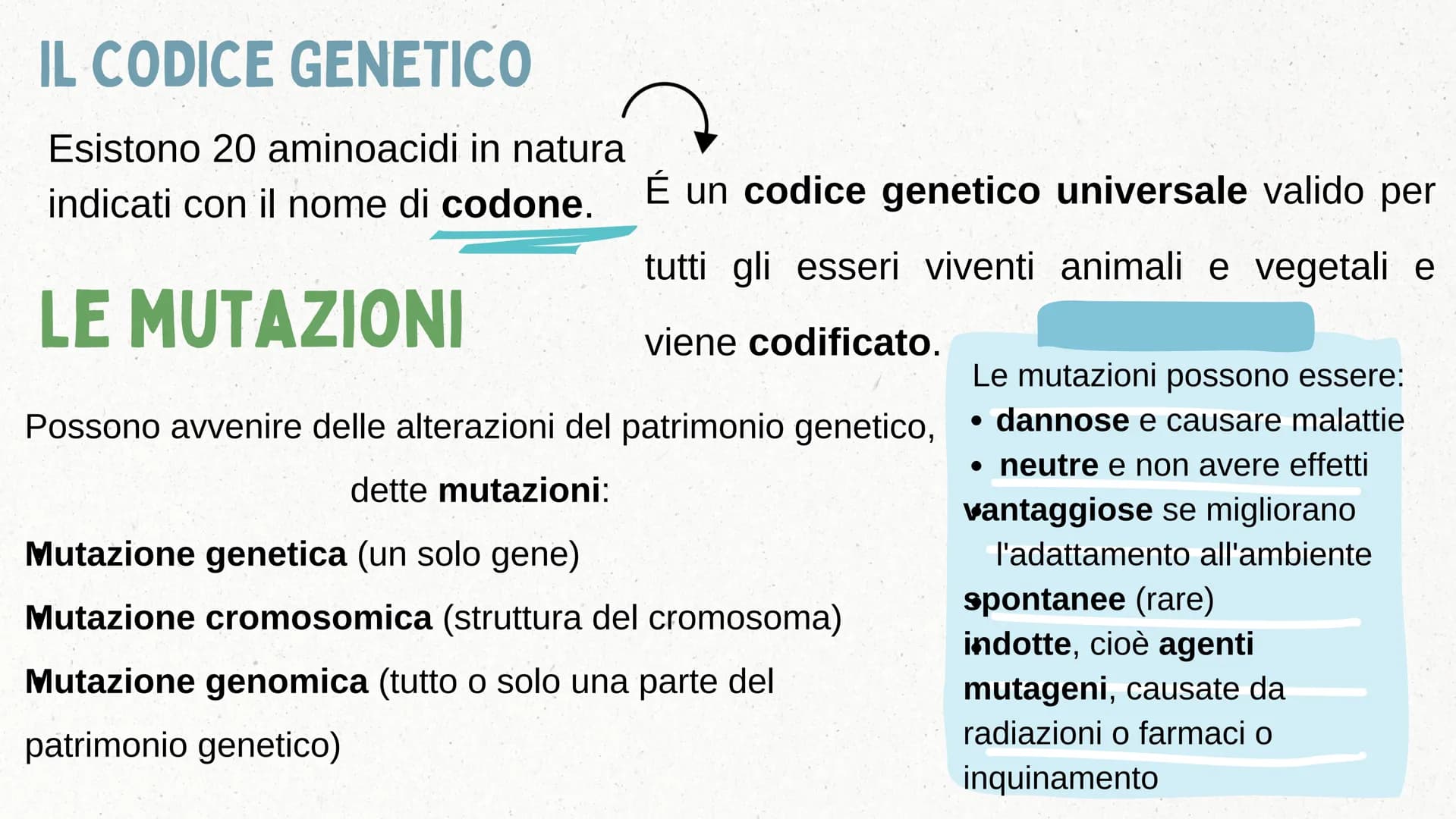 IL DNA COSA È IL DNA
In tutti gli esseri viventi le istruzioni che definiscono il
corpo di un individuo si trovano nel nucleo delle cellule
