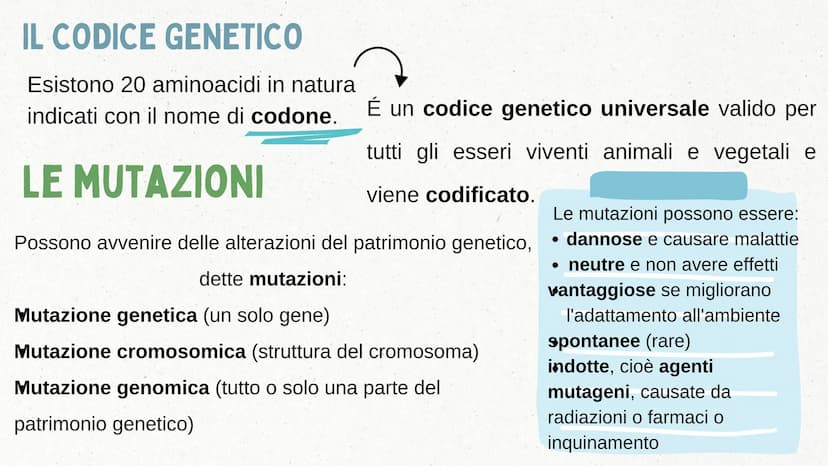 IL DNA COSA È IL DNA
In tutti gli esseri viventi le istruzioni che definiscono il
corpo di un individuo si trovano nel nucleo delle cellule

