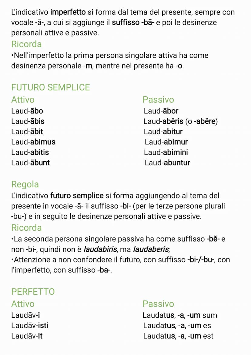 TABELLA VERBI PRIMA CONIUGAZIONE
INDICATIVO
PRESENTE
Attivo
Laud-o
Laud-as
Laud-at
Laud-āmus
Laud-ātis
Laud-ant
Regola
L'indicativo presente