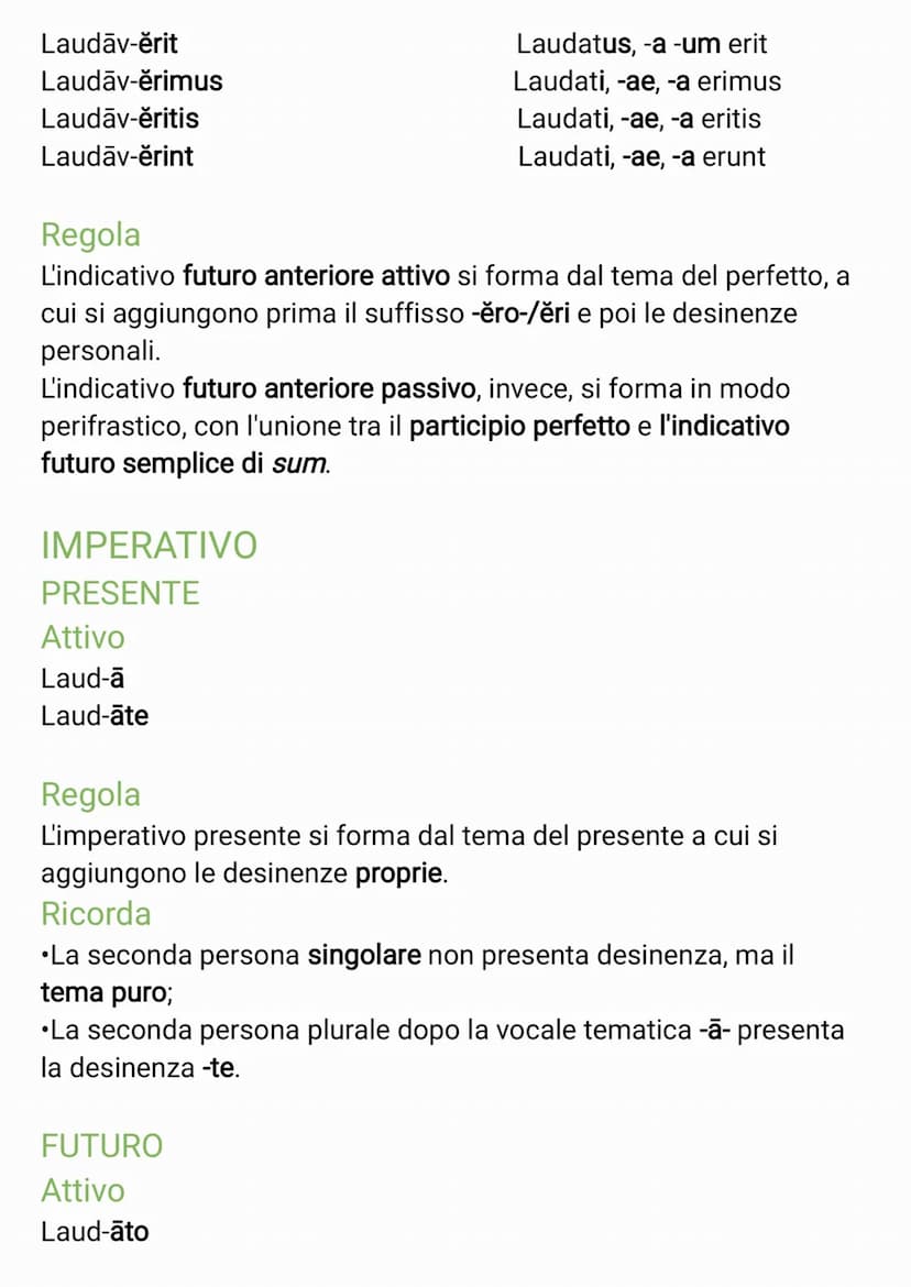 TABELLA VERBI PRIMA CONIUGAZIONE
INDICATIVO
PRESENTE
Attivo
Laud-o
Laud-as
Laud-at
Laud-āmus
Laud-ātis
Laud-ant
Regola
L'indicativo presente