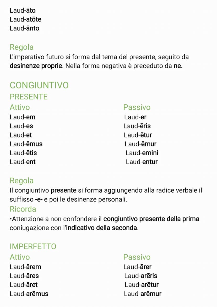 TABELLA VERBI PRIMA CONIUGAZIONE
INDICATIVO
PRESENTE
Attivo
Laud-o
Laud-as
Laud-at
Laud-āmus
Laud-ātis
Laud-ant
Regola
L'indicativo presente