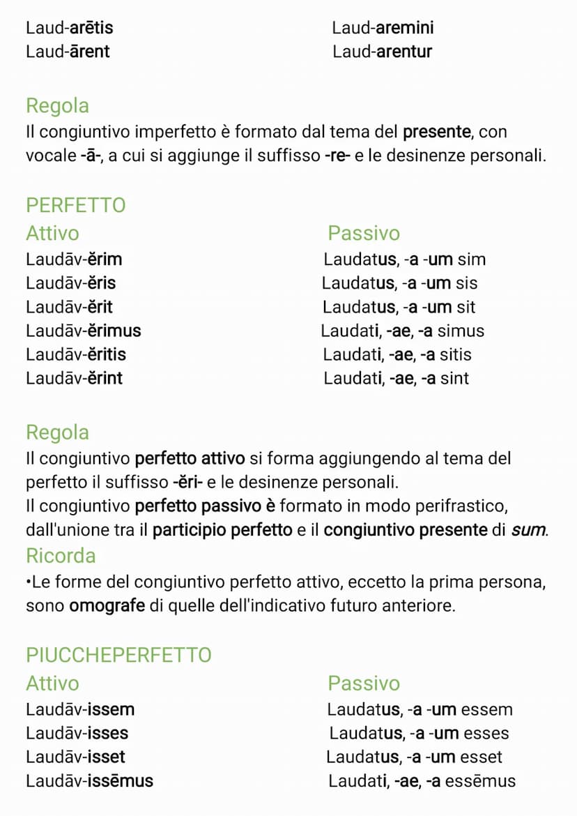 TABELLA VERBI PRIMA CONIUGAZIONE
INDICATIVO
PRESENTE
Attivo
Laud-o
Laud-as
Laud-at
Laud-āmus
Laud-ātis
Laud-ant
Regola
L'indicativo presente