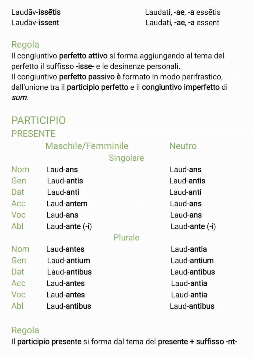 TABELLA VERBI PRIMA CONIUGAZIONE
INDICATIVO
PRESENTE
Attivo
Laud-o
Laud-as
Laud-at
Laud-āmus
Laud-ātis
Laud-ant
Regola
L'indicativo presente