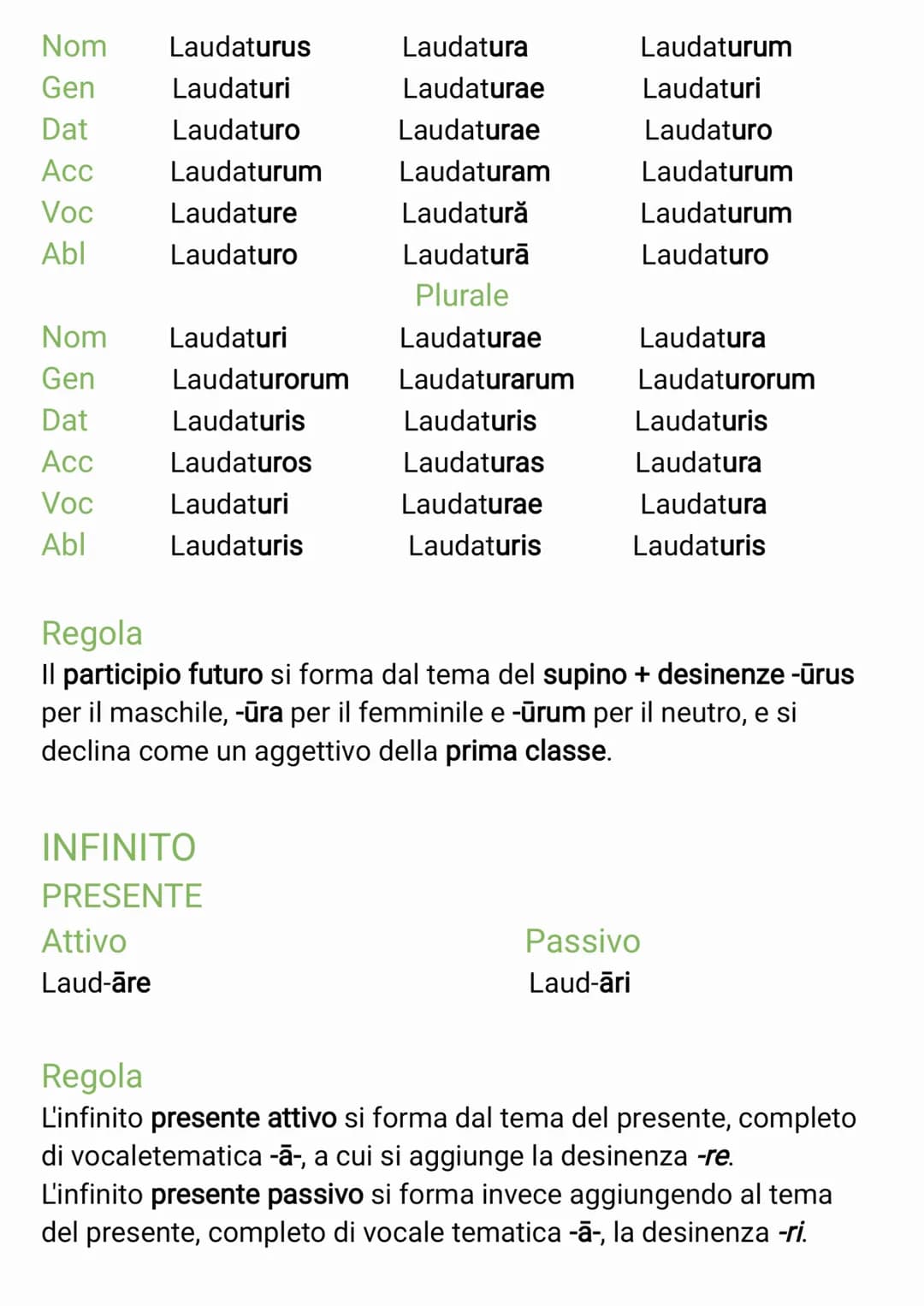 TABELLA VERBI PRIMA CONIUGAZIONE
INDICATIVO
PRESENTE
Attivo
Laud-o
Laud-as
Laud-at
Laud-āmus
Laud-ātis
Laud-ant
Regola
L'indicativo presente
