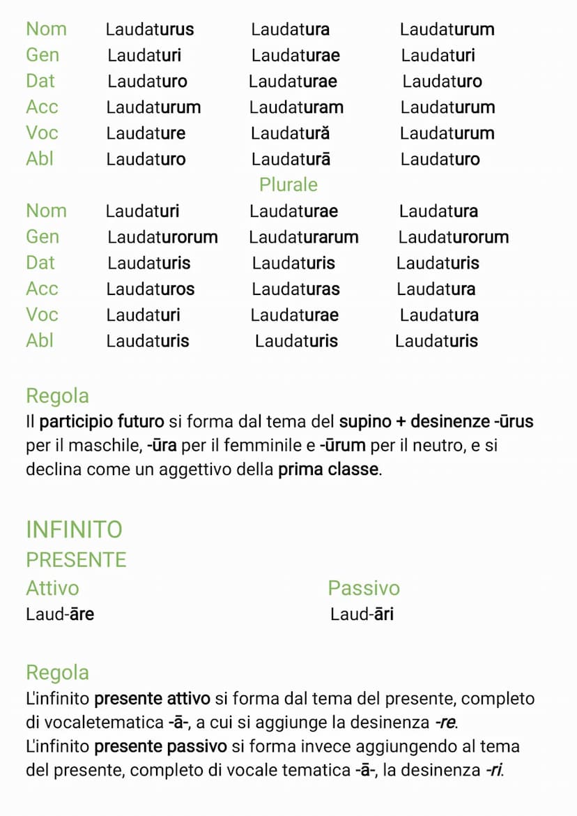 TABELLA VERBI PRIMA CONIUGAZIONE
INDICATIVO
PRESENTE
Attivo
Laud-o
Laud-as
Laud-at
Laud-āmus
Laud-ātis
Laud-ant
Regola
L'indicativo presente