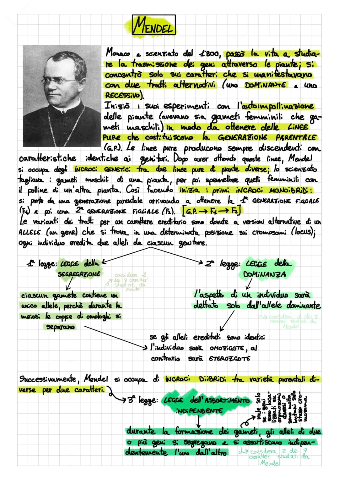 MENDEL
Monaco
e scienziato del 1800, passò la vita a studia-
re la trasmissione dei geni attraverso le piante; si
concentrò solo sui caratte