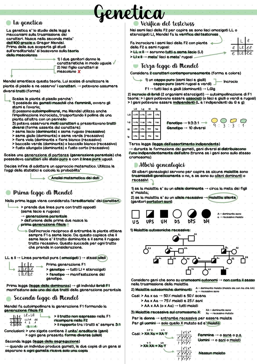 GENETICA [Mendel] !!