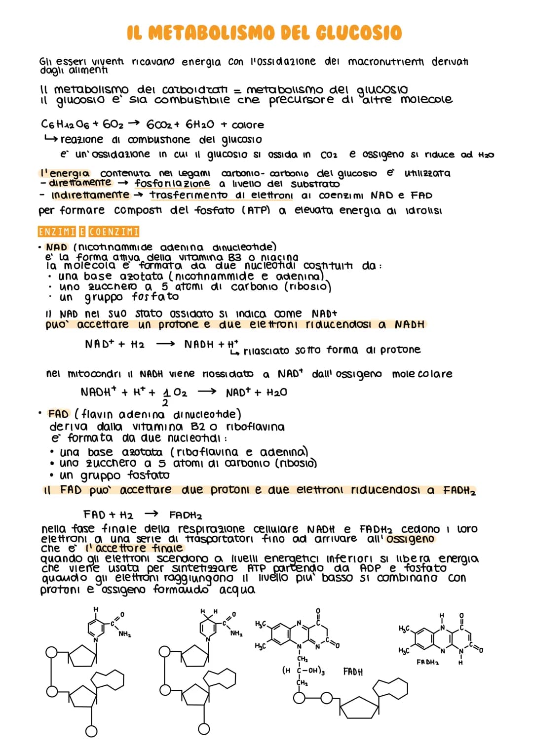 IL METABOLISMO DEL GLUCOSIO
Gli esseri viventi ricavano energia con l'ossidazione del macronutrienti derivati
dagli aliment
metabolismo =
i 