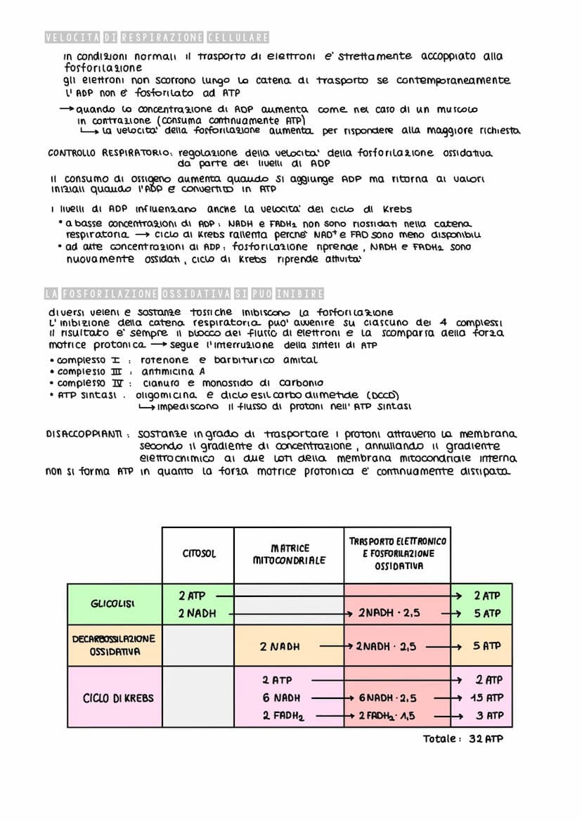 IL METABOLISMO DEL GLUCOSIO
Gli esseri viventi ricavano energia con l'ossidazione del macronutrienti derivati
dagli aliment
metabolismo =
i 