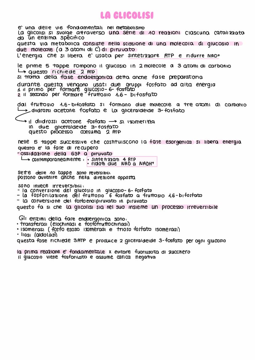 IL METABOLISMO DEL GLUCOSIO
Gli esseri viventi ricavano energia con l'ossidazione del macronutrienti derivati
dagli aliment
metabolismo =
i 