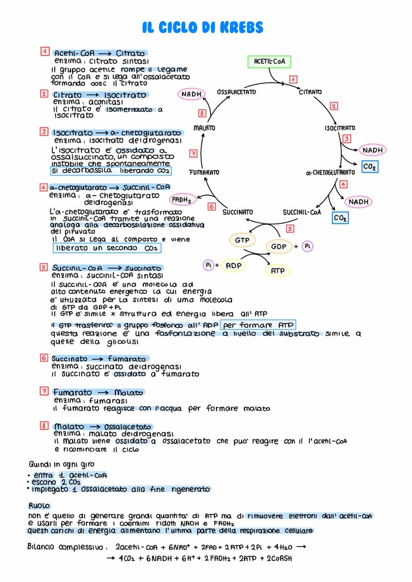 IL METABOLISMO DEL GLUCOSIO
Gli esseri viventi ricavano energia con l'ossidazione del macronutrienti derivati
dagli aliment
metabolismo =
i 