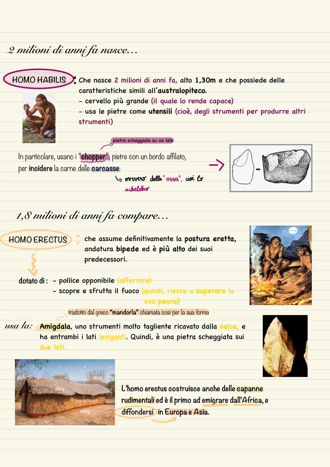 PREISTORIA
TEORIE
DELL'EVOLUZIONE
OMINAZIONE
inizio
Nella Rift Valley
troviamo:
Periodo che va dalla comparsa dell'homo habilis, ovvero,
2,5