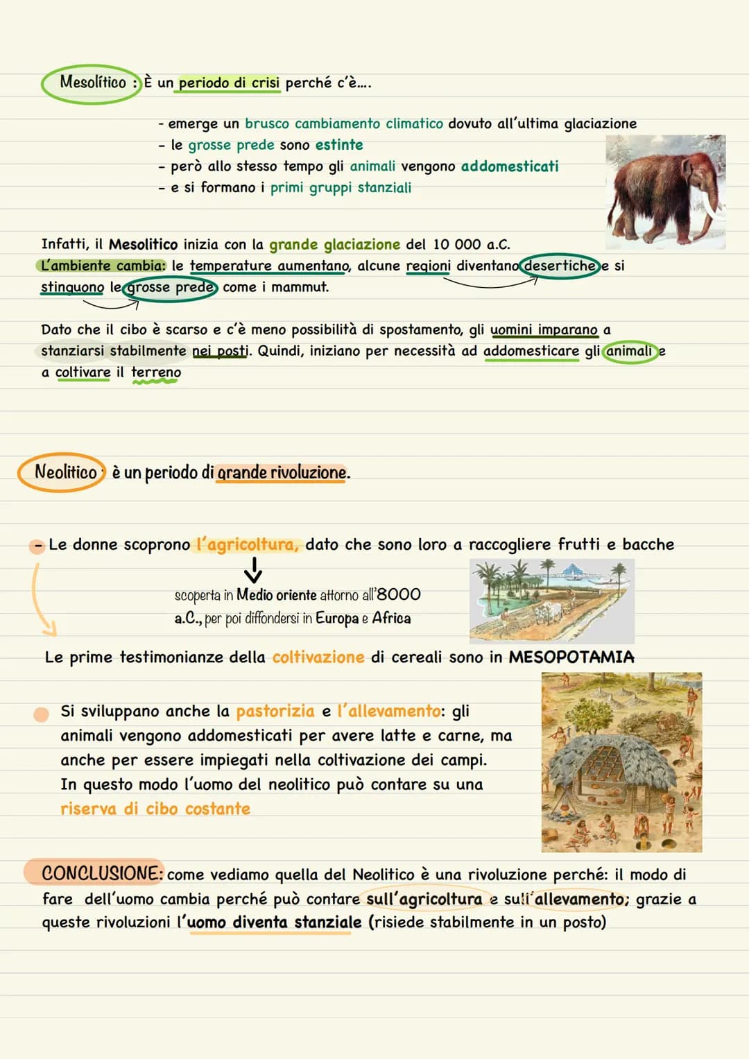 PREISTORIA
TEORIE
DELL'EVOLUZIONE
OMINAZIONE
inizio
Nella Rift Valley
troviamo:
Periodo che va dalla comparsa dell'homo habilis, ovvero,
2,5