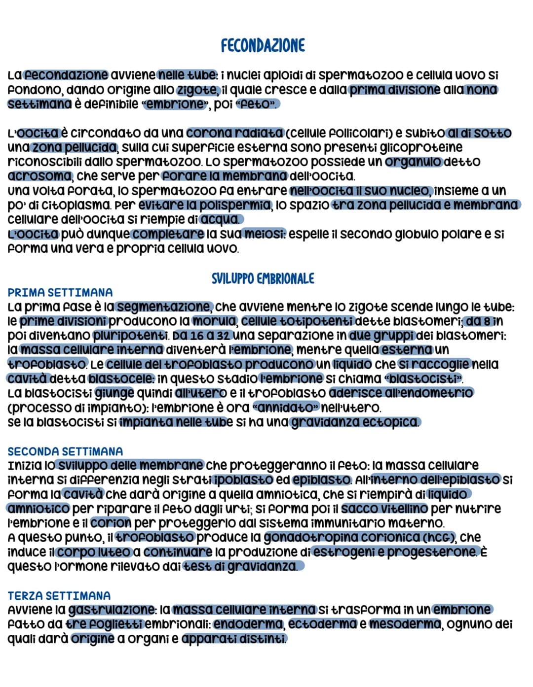 L'apparato riproduttore
L'apparato riproduttore dei mammiferi ha 3 caratteristiche:
sessuata: avviene a partire da due cellule sessuali (gam