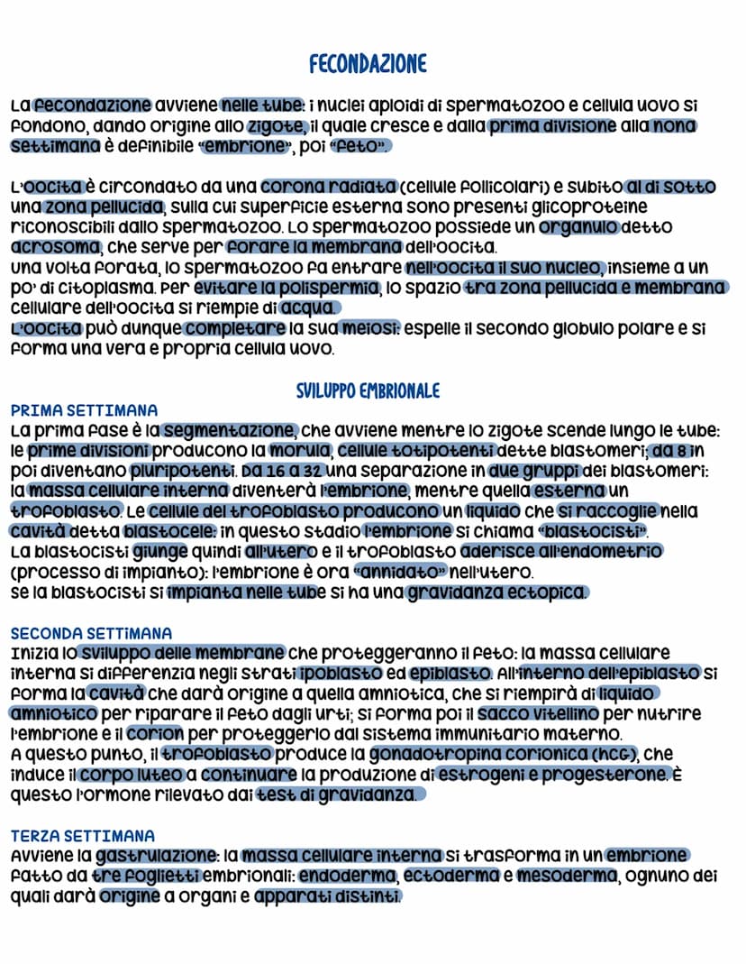 L'apparato riproduttore
L'apparato riproduttore dei mammiferi ha 3 caratteristiche:
sessuata: avviene a partire da due cellule sessuali (gam
