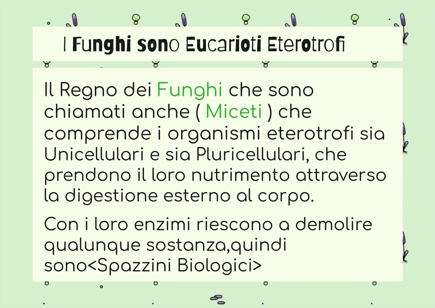 8
g
8
IL REGNO DEI
FUNGHI
80
mm
Op
80
8
mmm
mm 8
| Funghi sono Eucarioti Eterotrofi
Il Regno dei Funghi che sono
chiamati anche (Miceti) che