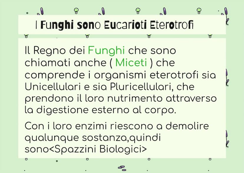 8
g
8
IL REGNO DEI
FUNGHI
80
mm
Op
80
8
mmm
mm 8
| Funghi sono Eucarioti Eterotrofi
Il Regno dei Funghi che sono
chiamati anche (Miceti) che