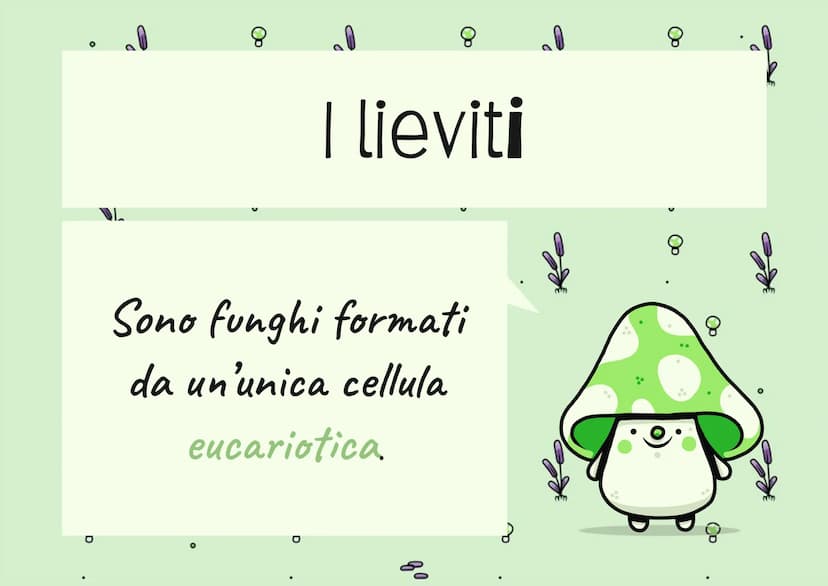 8
g
8
IL REGNO DEI
FUNGHI
80
mm
Op
80
8
mmm
mm 8
| Funghi sono Eucarioti Eterotrofi
Il Regno dei Funghi che sono
chiamati anche (Miceti) che