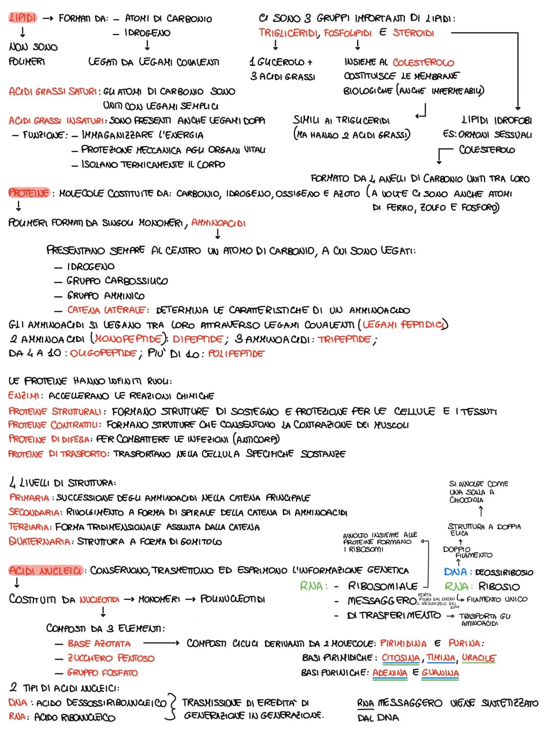 
<p>Le biomolecole sono composti organici formati da atomi di carbonio legati tra di loro o con altri elementi. Questa capacità di formare g