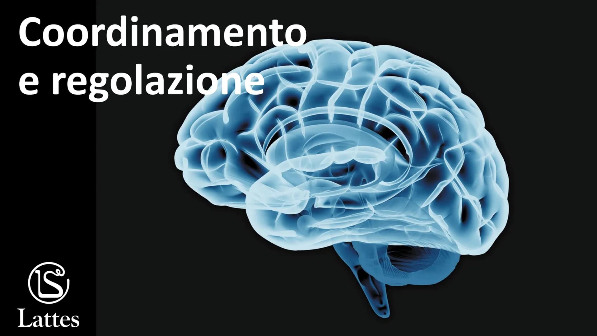 Coordinamento
e regolazione
S
Lattes
5 S
Lattes
Il sistema nervoso
Il corpo umano è una struttura molto complessa e il suo centro di comando