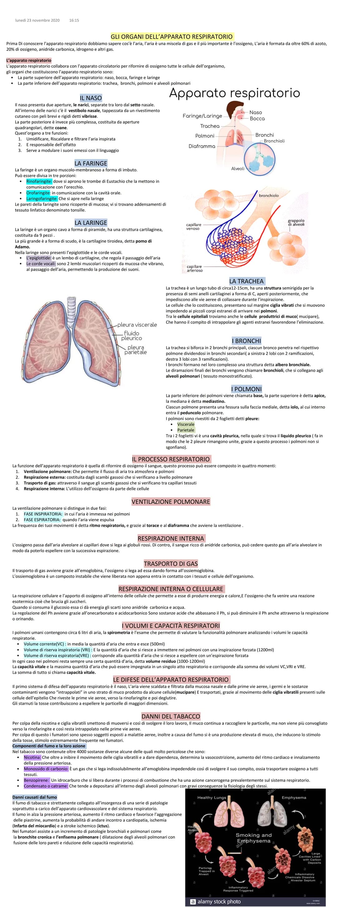 lunedì 23 novembre 2020 16:15
GLI ORGANI DELL'APPARATO RESPIRATORIO
Prima Di conoscere l'apparato respiratorio dobbiamo sapere cos'è l'aria,