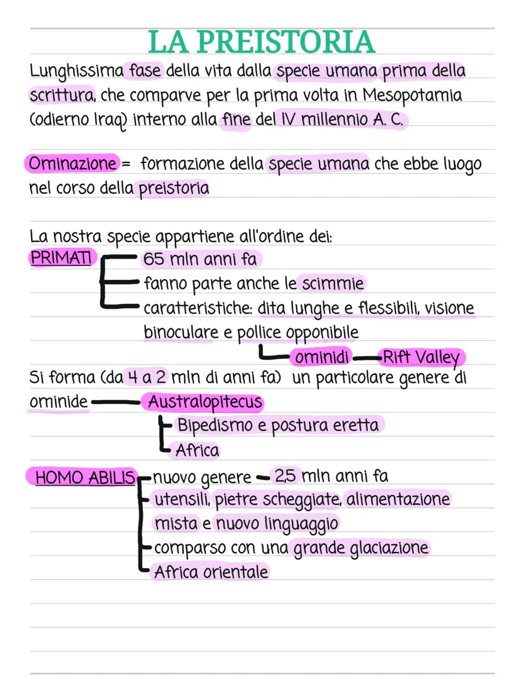 LA PREISTORIA
Lunghissima fase della vita dalla specie umana prima della
scrittura, che comparve per la prima volta in Mesopotamia
(odierno 