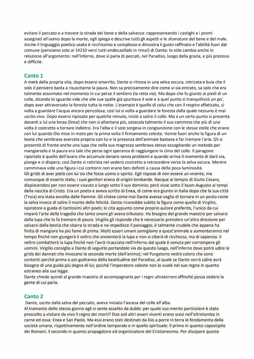 Divina Commedia
Introduzione e Generalità
Riassunto:
Il poema all'inizio si intitolava Commedia ma già Boccaccio lo definì Divina Commedia. 