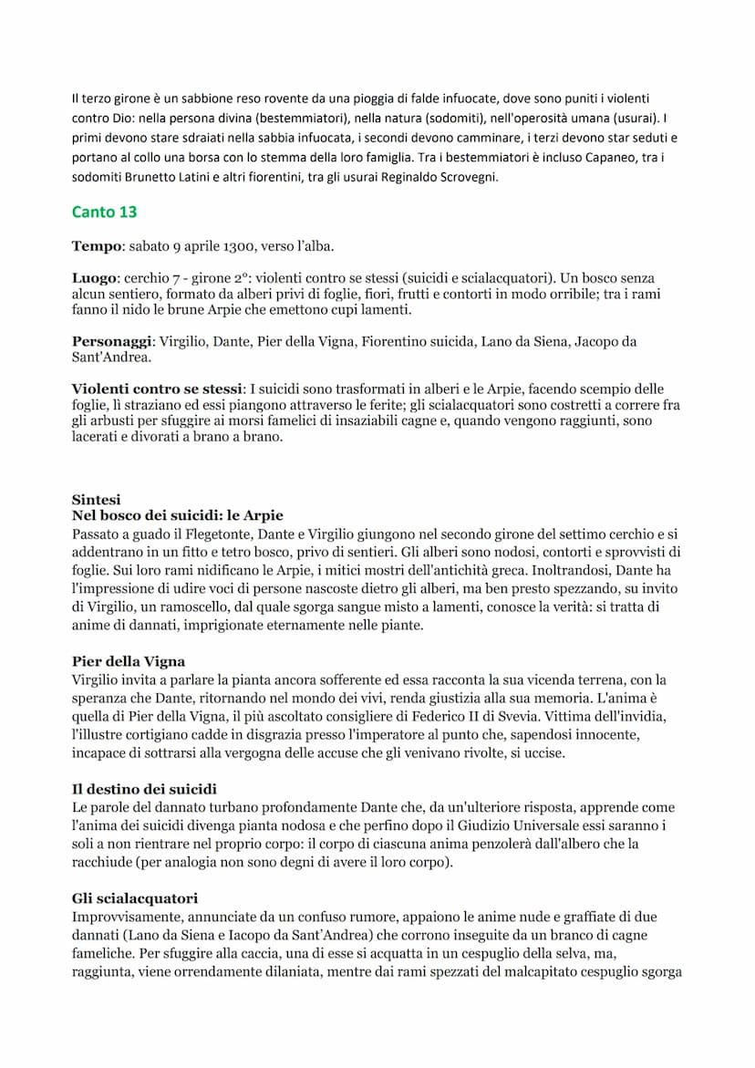 Divina Commedia
Introduzione e Generalità
Riassunto:
Il poema all'inizio si intitolava Commedia ma già Boccaccio lo definì Divina Commedia. 