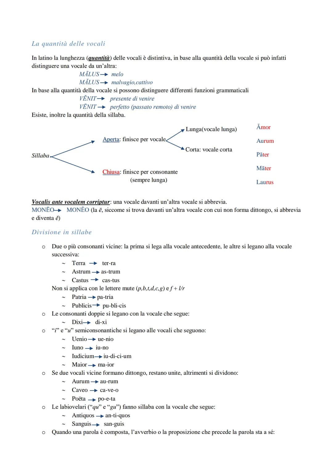 LATINO
Che cos'è la grammatica
La grammatica è la scienza che studia come funziona una lingua, l'insieme delle regole che permettono a una
l